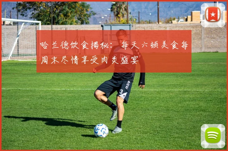 哈兰德饮食揭秘：每天六顿美食每周末尽情享受肉类盛宴