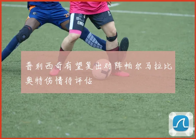 普利西奇有望复出对阵帕尔马拉比奥特伤情待评估